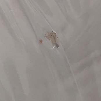 Public Storage - Giant termites inside my brand new mattress that was wrapped in plastic - Self Storage Near Me - Costa Mesa, California Public Storage - Giant termites inside my brand new mattress that was wrapped in plastic - Self Storage Near Me - Costa Mesa, California