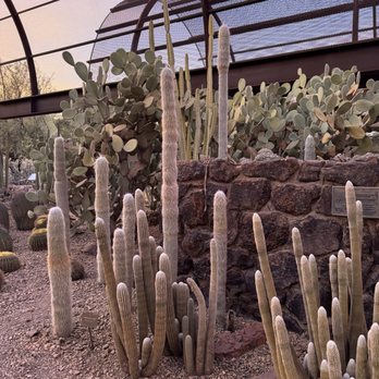 The Westin Tempe - Hotels Near Me - Tempe, Arizona
