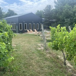 Tasting room (from the vines) the owners remodeled from an old barn.  Wait till you see the wood work on the inside. WOW!!