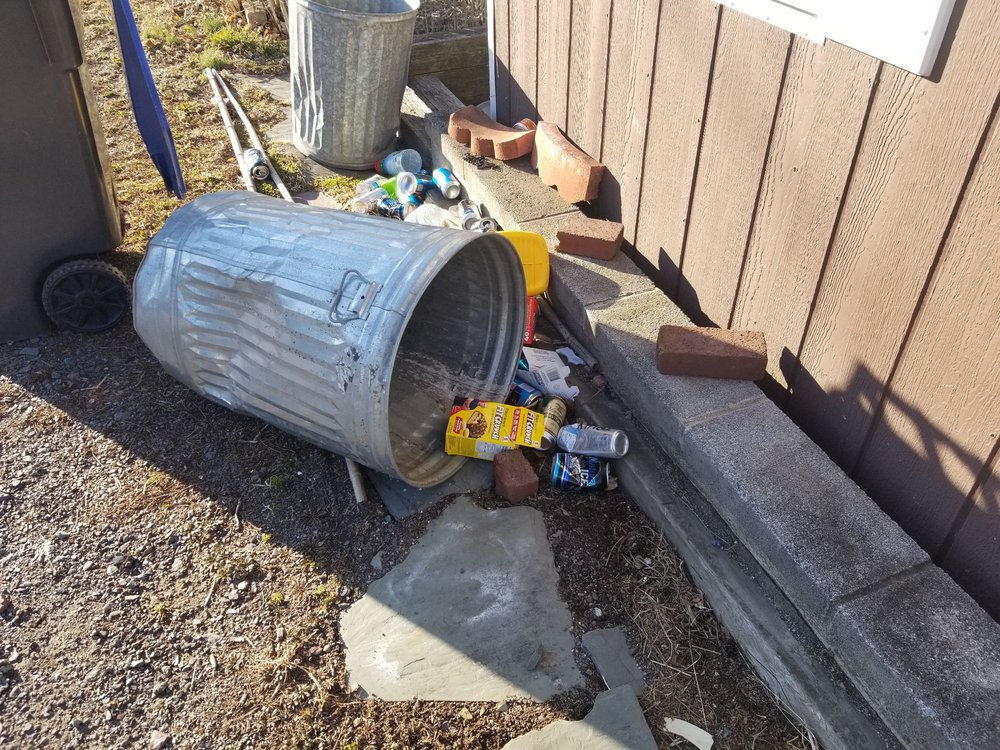 TAMAQUA TRANSFER & RECYCLING Updated October 2024 Sewage Plant Rd