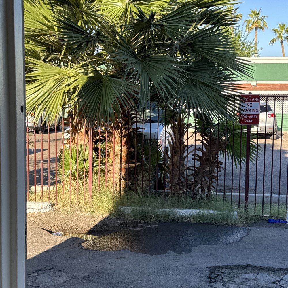 24-Hour Smart Laundry - Back lot palms! - Laundromat Near Me - Phoenix, Arizona
