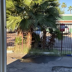 24-Hour Smart Laundry - Back lot palms!