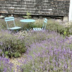 Glendarragh Lavender - The perfect table for 2 with a view