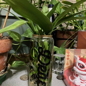 Draes Lemonade - Drae's Lemonade Container - recycled for indoor plants - Beverage Store Near Me - Santa Clara, California