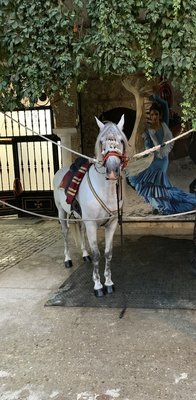 Caballerizas Reales by null