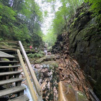 The Flume Gorge - Parks Near Me - Lincoln, New Hampshire The Flume Gorge - Parks Near Me - Lincoln, New Hampshire
