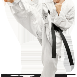 Next Level Martial Arts & Fitness