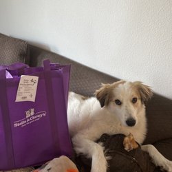 Tomlinson's Gift Greeting Cards Email, Text or Print 4211 S