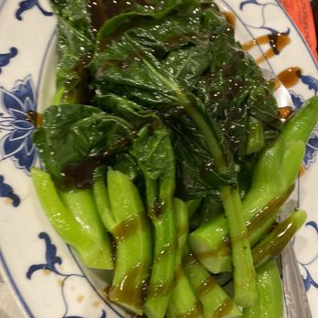 Jade Villa - Marinated Chinese broccoli - Dim Sum Near Me - Virginia Beach, Virginia Jade Villa - Marinated Chinese broccoli - Dim Sum Near Me - Virginia Beach, Virginia