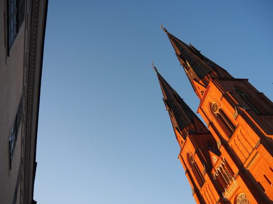 Uppsala Cathedral by null