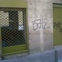 Photo of Amapola
