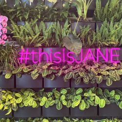 Jane Dispensary - #thisisjane plant sign