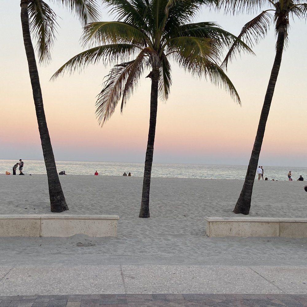 Why Not - View from the cafe - Seafood Near Me - Hollywood, Florida Why Not - View from the cafe - Seafood Near Me - Hollywood, Florida