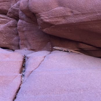 Antelope Canyon Tours - Tours Near Me - Page, Arizona Antelope Canyon Tours - Tours Near Me - Page, Arizona