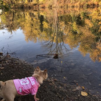 Ellicott Creek Island Park - Beautiful fall day! - Dog Parks Near Me - Amherst, New York Ellicott Creek Island Park - Beautiful fall day! - Dog Parks Near Me - Amherst, New York