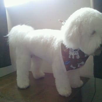 Pooch Pawlor Spa - Pet Groomers Near Me - Glendale, California