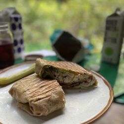 Fallingwater Cafe - Chicken salad wrap