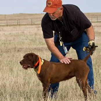 Jackson Creek Kennel - Pet Sitting Near Me - Peyton, Colorado Jackson Creek Kennel - Pet Sitting Near Me - Peyton, Colorado