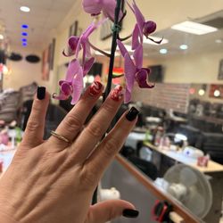 Nail Shop