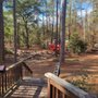 Photo of Butler Tree Service