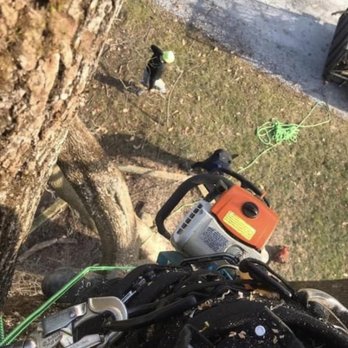 Jeremys Tree And Lawn Service - todays job - Tree Services Near Me Jeremys Tree And Lawn Service - todays job - Tree Services Near Me