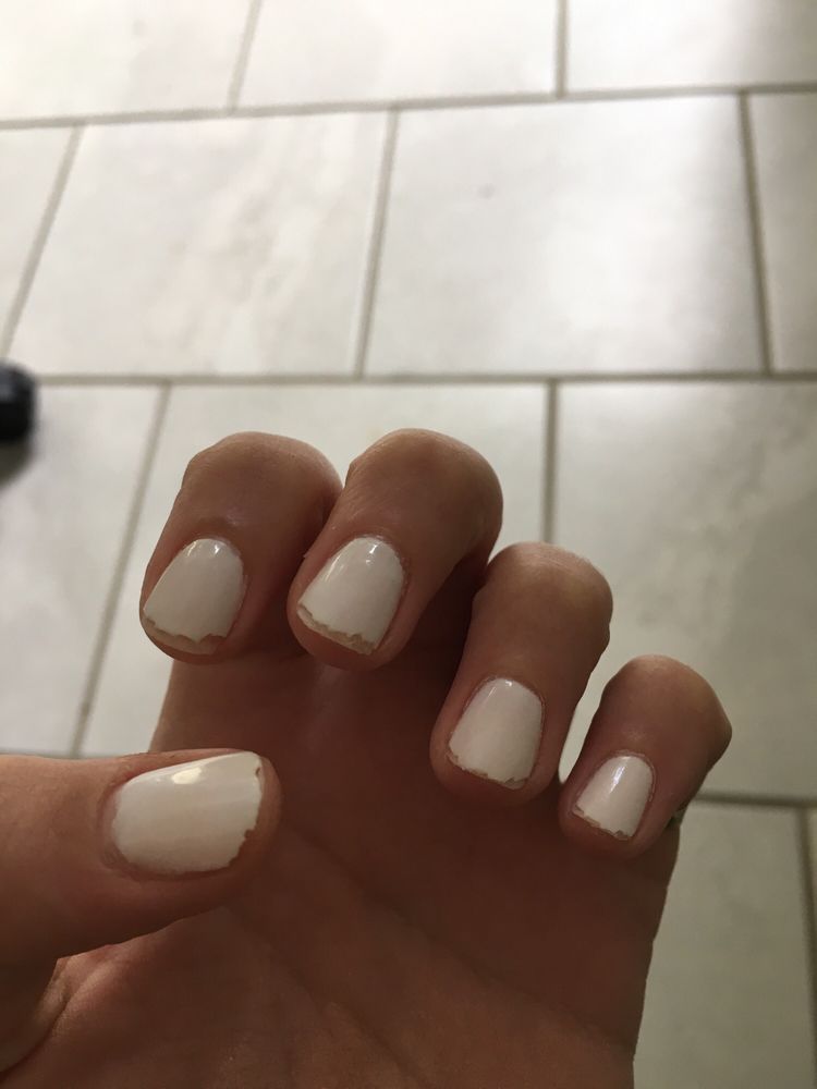 Amys Nails Logo