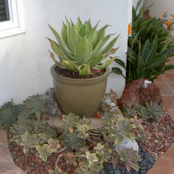 Grow - Nurseries & Gardening Near Me - Cambria, California