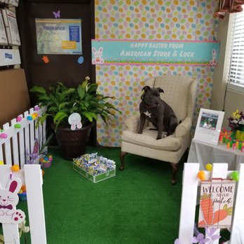 Down Boy Down K9 - Easter bunny needed a break....lol - Pet Training Near Me - Charlotte, North Carolina Down Boy Down K9 - Easter bunny needed a break....lol - Pet Training Near Me - Charlotte, North Carolina