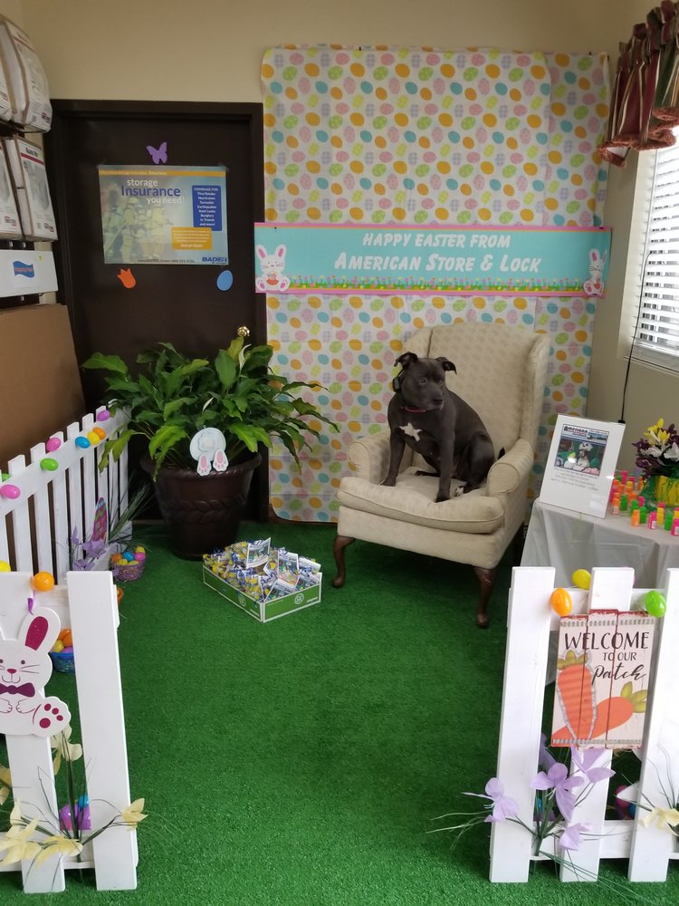 Down Boy Down K9 - pet boarding facility in Charlotte, NC