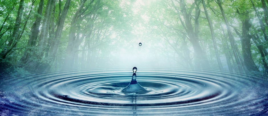 Bay Area Clarity - Tina Clayton - grief counselor in Tampa, FL