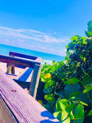 Bonita Beach Park by null