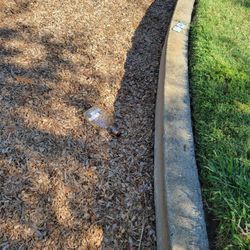 Garbolino Park - Trash in the park