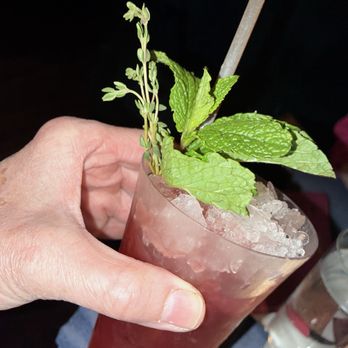 The Meadowlark - Speakeasies Near Me - Chicago, Illinois
