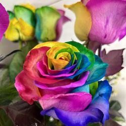 North Hills Florist & Gifts - Rainbow Roses Special Order custom designs North Hills Florist & Gifts