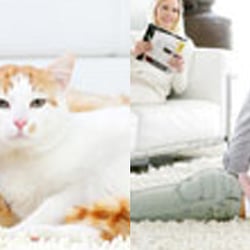 Champion Cleaning Services