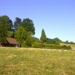 Calverley Cafe - Calverley Cafe and Park, Tunbridge Wells