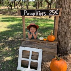 Bulverde Pumpkin Patch