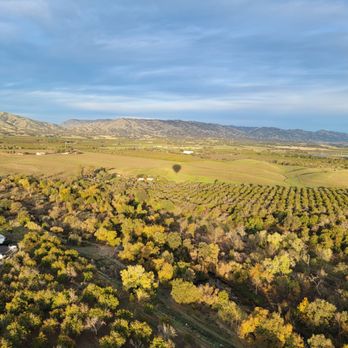 Yolo Ballooning Adventures - Hot Air Balloons Near Me - Dixon, California Yolo Ballooning Adventures - Hot Air Balloons Near Me - Dixon, California