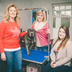 Mutt Cuts - Our team with Bear the shop dog as a model.