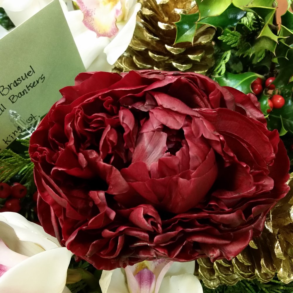 Rainforest Florals - This flower is huge 5" across!!! - Florists Near Me - Honolulu, Hawaii Rainforest Florals - This flower is huge 5" across!!! - Florists Near Me - Honolulu, Hawaii