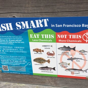 Point Pinole Regional Shoreline - Safe or not, I don't want no fish from the Bay!! - Parks Near Me - Richmond, California Point Pinole Regional Shoreline - Safe or not, I don't want no fish from the Bay!! - Parks Near Me - Richmond, California