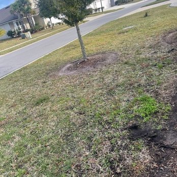 JG Landscaping Pro - Front yard - Lawn Services Near Me - St. Augustine, Florida