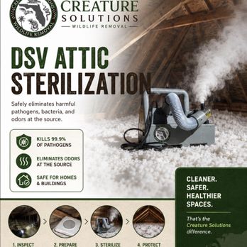 Creature Solutions - DSV attic sterilization removes odors, bacteria & contaminants after rodent infestations for cleaner, healthier attic spaces. - Wildlife Control Near Me Creature Solutions - DSV attic sterilization removes odors, bacteria & contaminants after rodent infestations for cleaner, healthier attic spaces. - Wildlife Control Near Me
