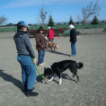 Markley Creek Dog Park - Big dog section @ Markley Dog Park - Dog Parks Near Me - Antioch, California