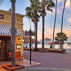 Restaurants In Avalon Yelp Avalon Grille