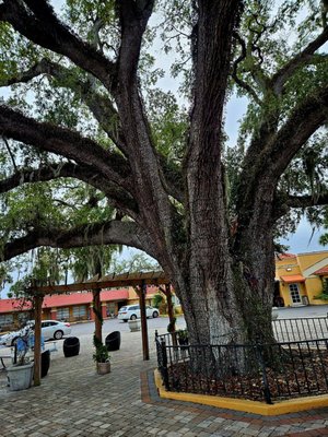 Ponce de Leon's Fountain of Youth Archaeological Park by null