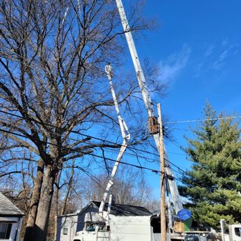 OLI Outdoor Services - a man on a ladder working on a power pole - Tree Services Near Me OLI Outdoor Services - a man on a ladder working on a power pole - Tree Services Near Me