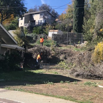 New Season Tree Services - Clean up hillside - Tree Services Near Me - Riverside, California New Season Tree Services - Clean up hillside - Tree Services Near Me - Riverside, California