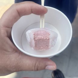 Red bean mochi ice cream! Love the little fork!
