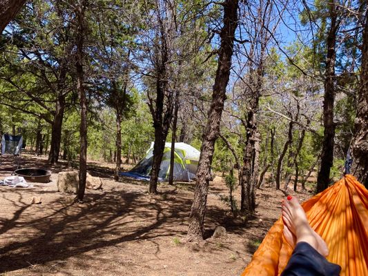 Mather Campground by null